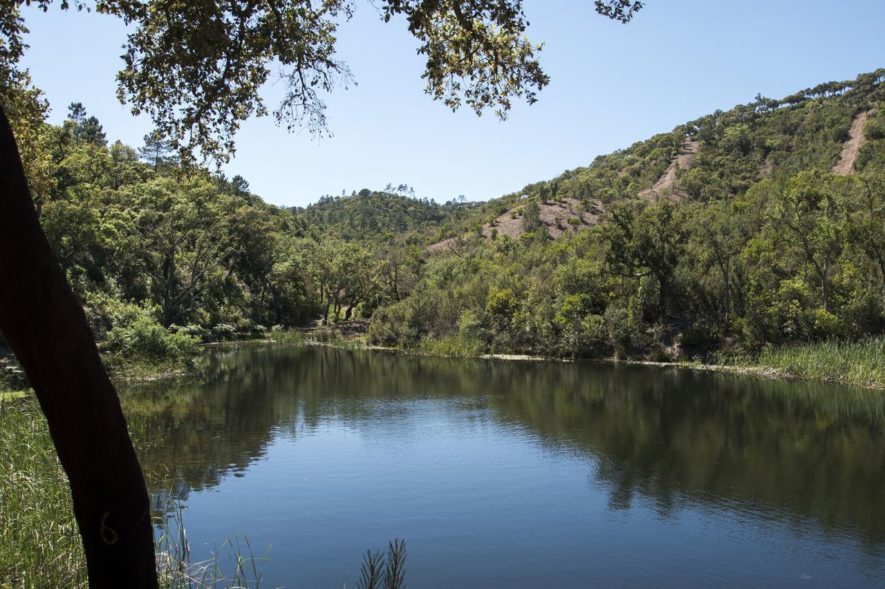 Herdade Das Barradas Da Serra Grandola Exterior photo