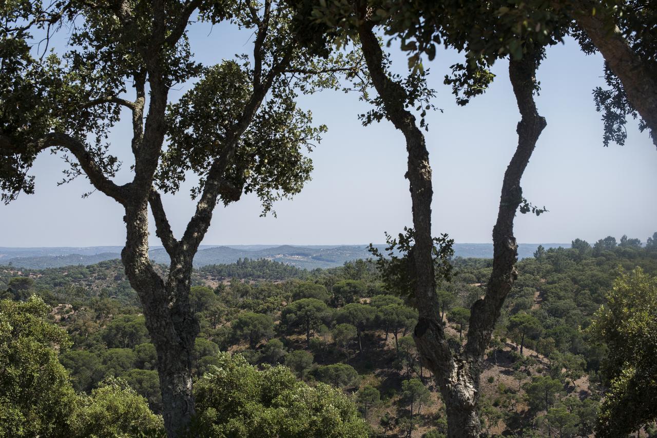 Herdade Das Barradas Da Serra Grandola Exterior photo